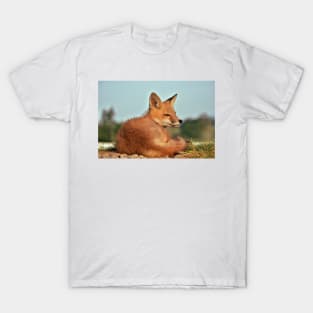 Alert Red Fox Kit T-Shirt